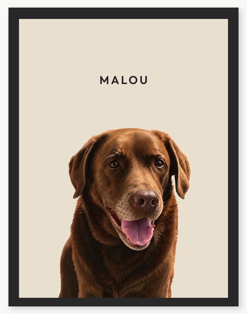 Malou im Look PetPics Classic